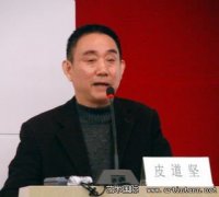 皮道坚：当代水墨的评判标准