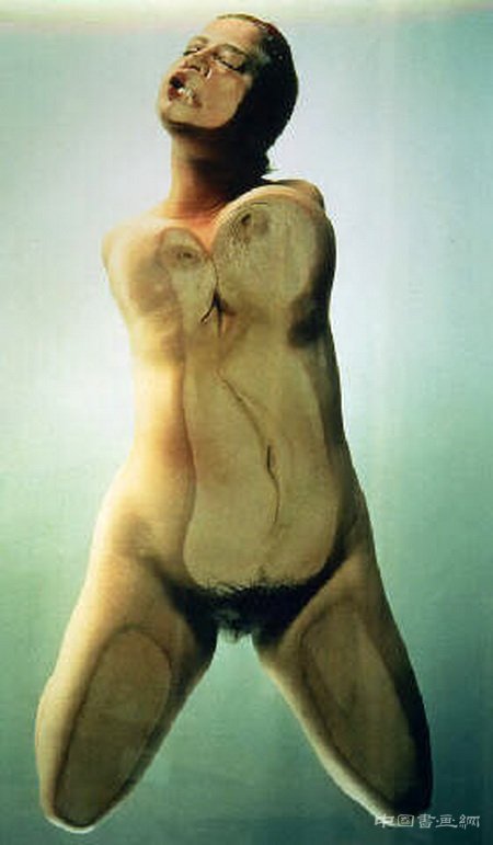 珍妮·萨维尔(Jenny Saville)