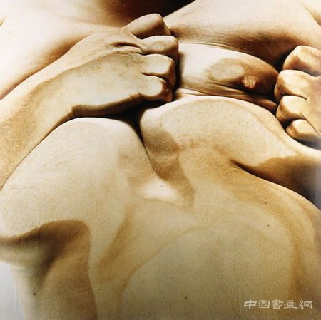 珍妮·萨维尔(Jenny Saville)