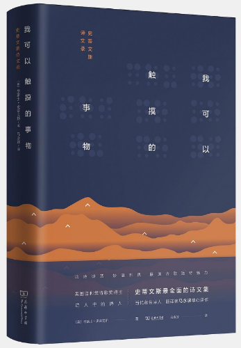 史蒂文斯