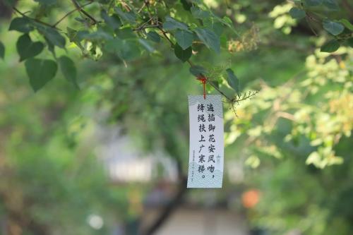 微信图片_20240419094610