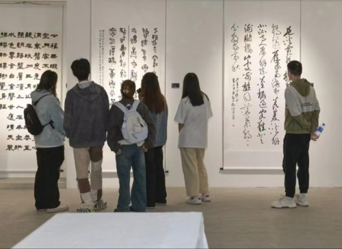 图片8