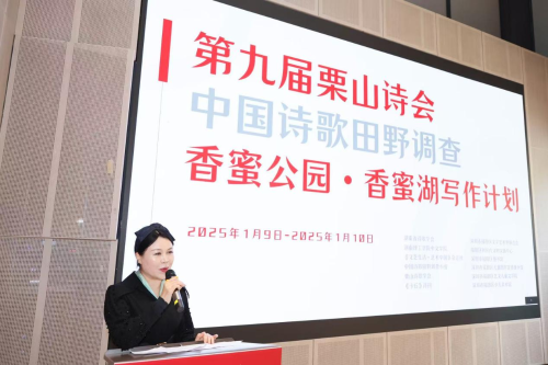图片6