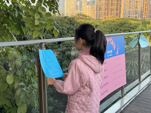 图片26